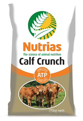 Nutrias-Calf-crunch-ATP