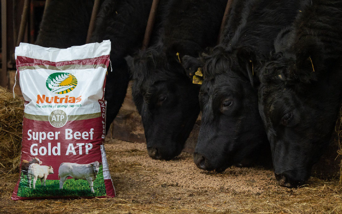Nutrias-Beef-Slider-low-res-25